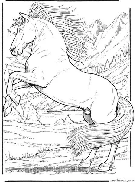 dibujo-de-caballo-122 | Dibujos y juegos, para pintar y colorear
