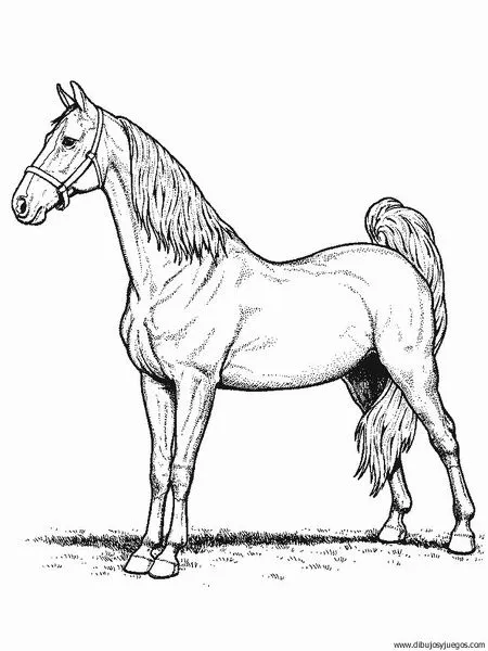 dibujo-de-caballo-137 | Dibujos y juegos, para pintar y colorear