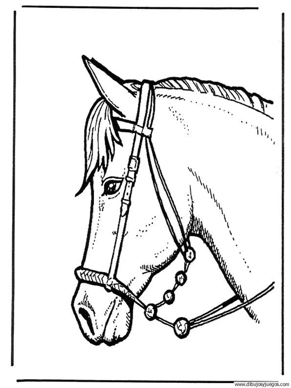dibujo-de-caballo-158 | Dibujos y juegos, para pintar y colorear