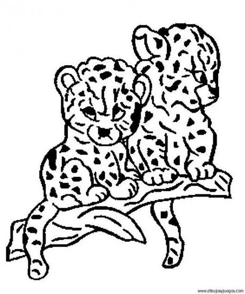 Caras de leopardos para colorear - Imagui