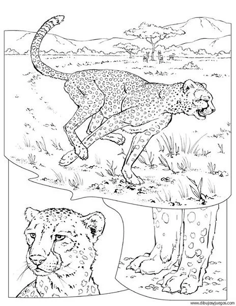 dibujo-de-leopardo-014 | Dibujos y juegos, para pintar y colorear