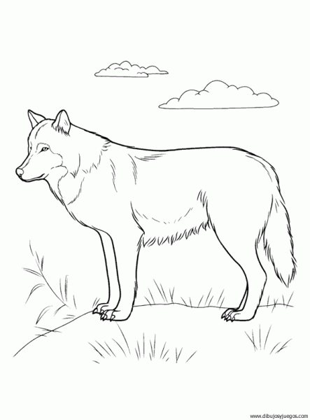 Perros lobos para pintar - Imagui