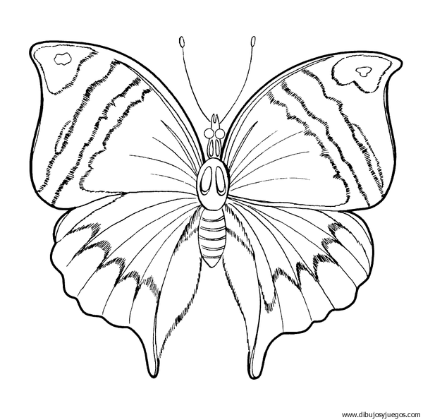 dibujo-de-mariposa-058 | Dibujos y juegos, para pintar y colorear