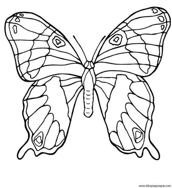 dibujo-de-mariposa-069 | Dibujos y juegos, para pintar y colorear