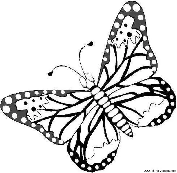 dibujo-de-mariposa-073 | Dibujos y juegos, para pintar y colorear