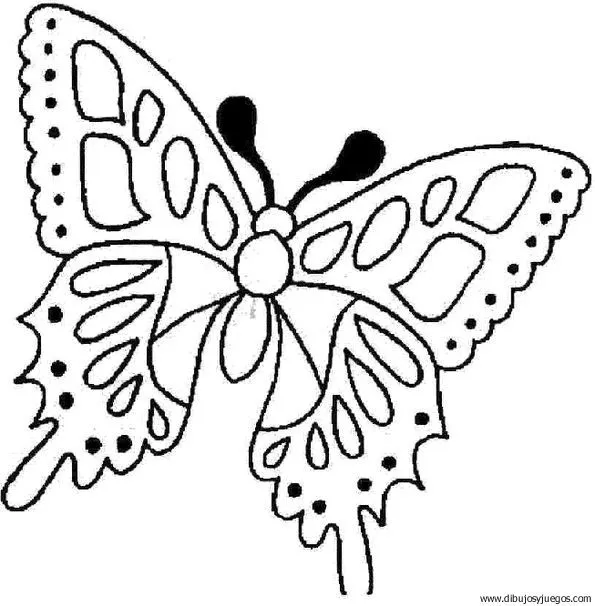 dibujo-de-mariposa-118 | Dibujos y juegos, para pintar y colorear