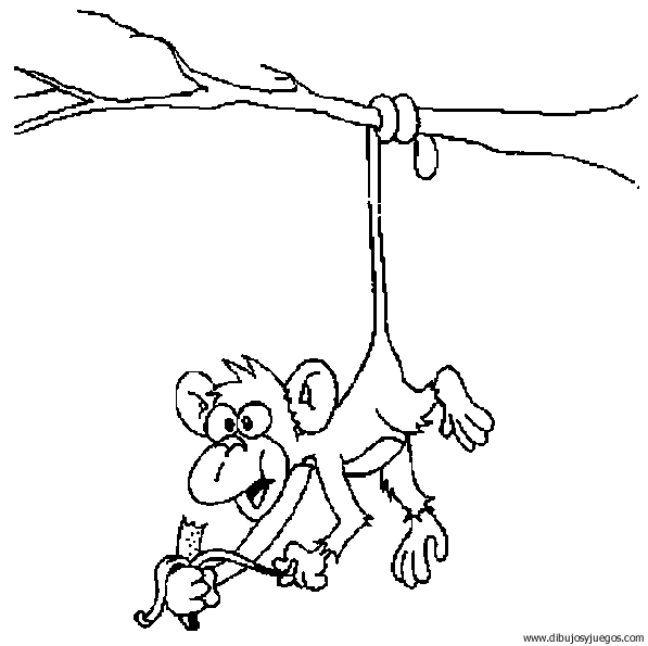 Mono araña dibujos para colorear - Imagui