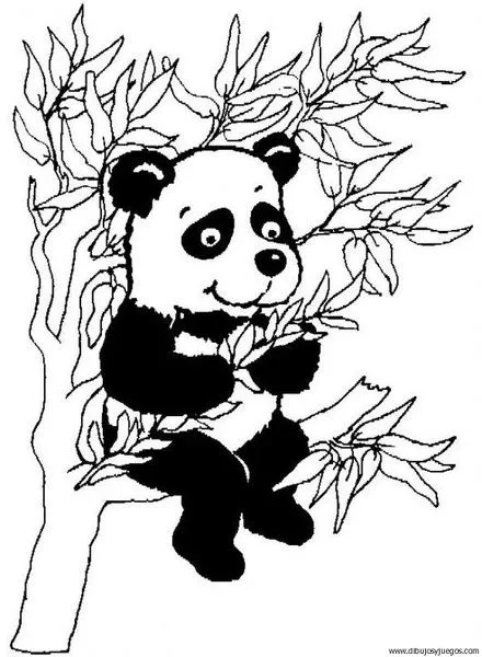 dibujo-de-oso-panda-003 | Dibujos y juegos, para pintar y colorear