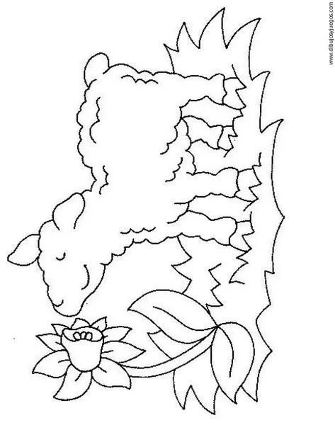borego Colouring Pages (page 2)