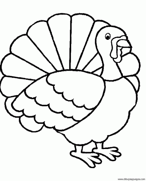 dibujo-de-pavo-012 | Dibujos y juegos, para pintar y colorear dibujo-de-pavo-012 | Dibujos y juegos, para pintar y colorear