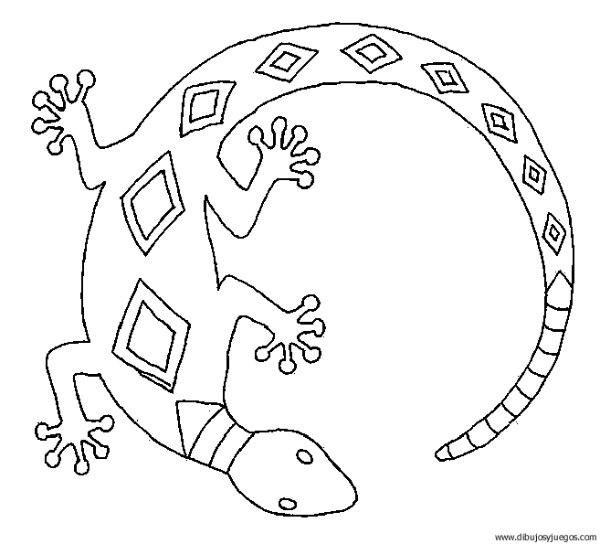 dibujo-de-salamandra-004 | Dibujos y juegos, para pintar y colorear