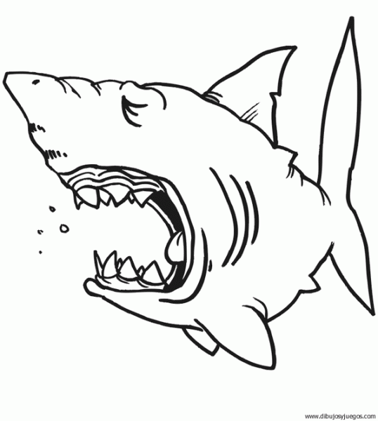 dibujo-de-tiburon-038 | Dibujos y juegos, para pintar y colorear