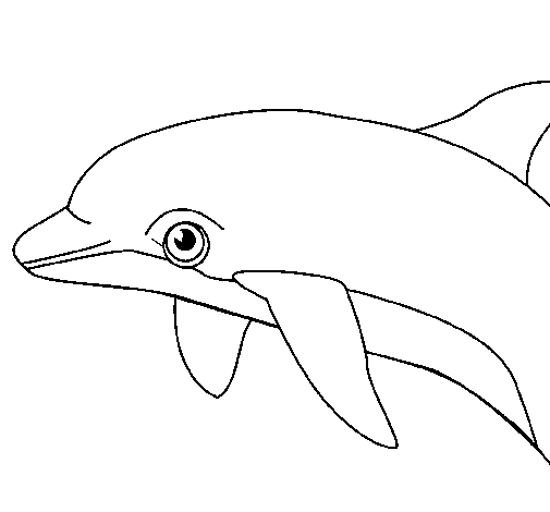 Dibujo Delfin images