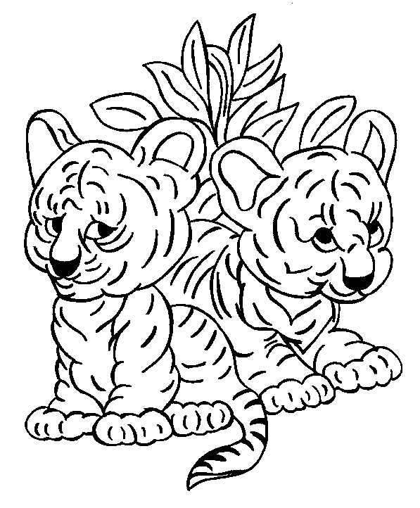 Tigres tiernos para colorear - Imagui