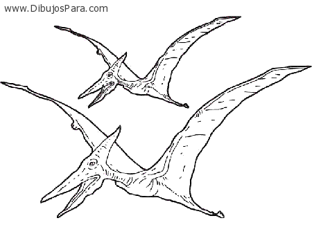 Dibujo de dinosaurios voladores | Dibujos de Dinosaurios para ...
