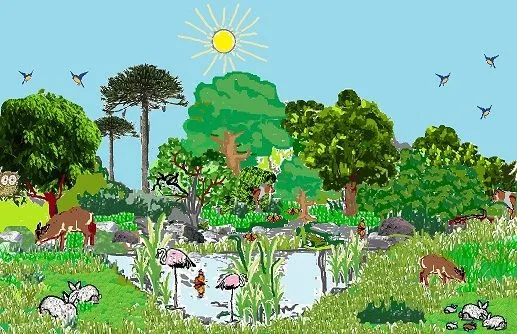 Como dibujar un ecosistema terrestre - Imagui
