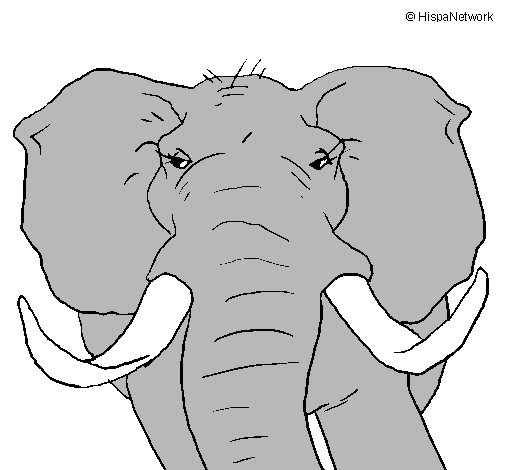 Dibujo de Elefante africano pintado por Elefantes en Dibujos.net ...