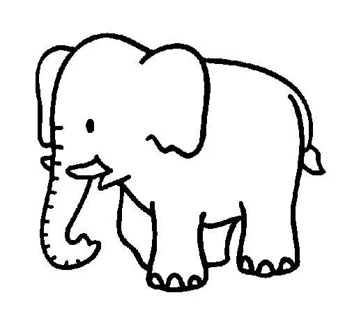 Dibujo de Elefante bebe para Colorear - Dibujos.net