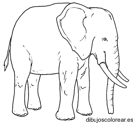 Dibujo de un elefante cansado | Dibujos para Colorear