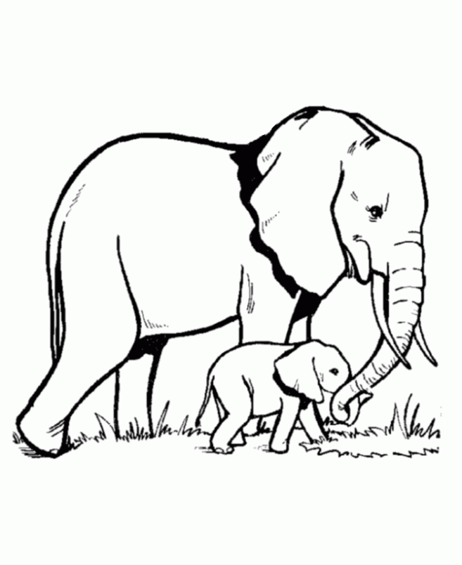 Dibujo de Elefante con su cría para colorear. Dibujos infantiles de ...