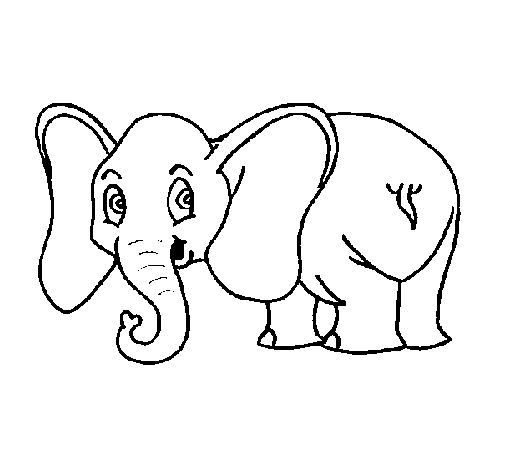 Dibujo de Elefante pequeño para Colorear - Dibujos.net