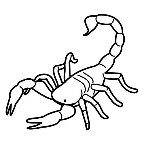 Dibujo de escorpion para colorear - Imagui