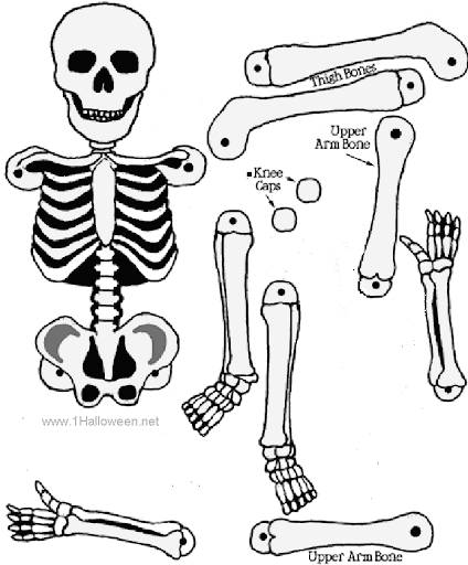Figuras de esqueleto humano para armar - Imagui
