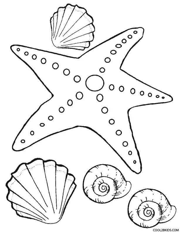 Dibujo de Estrella de Mar para colorear - Páginas para imprimir gratis
