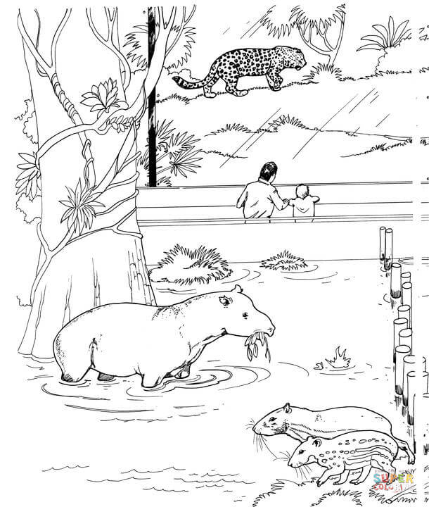 Dibujo de Una Familia de Paseo en el Zoológico para colorear ...