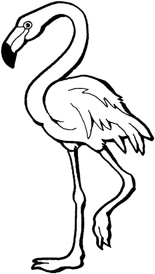 dibujo-flamingo-para-colorear.jpg