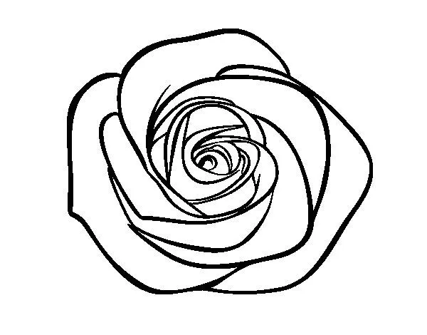 Dibujo de Flor de rosa para Colorear - Dibujos.net