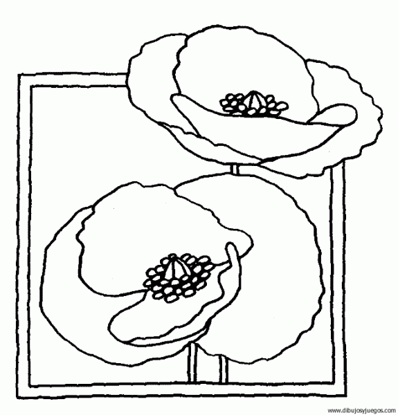 dibujo-flores-amapolas-009 | Dibujos y juegos, para pintar y colorear
