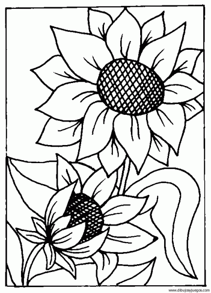 dibujo-flores-girasoles-010 | Dibujos y juegos, para pintar y colorear
