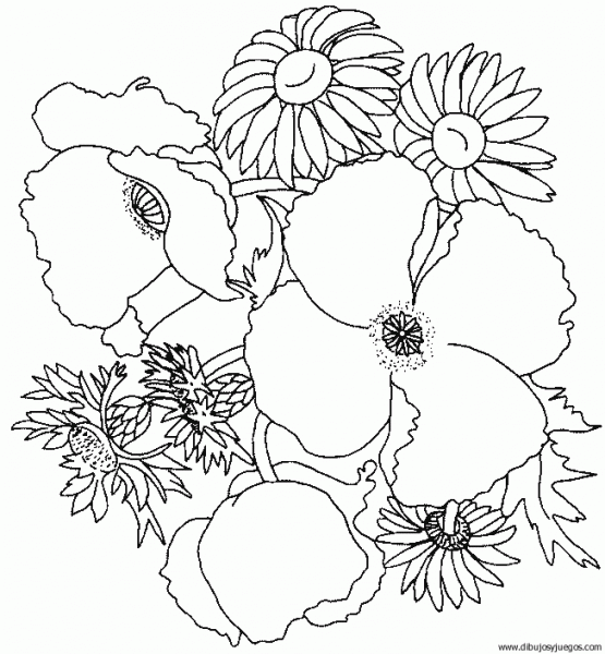 Flores para dibujar dificiles - Imagui