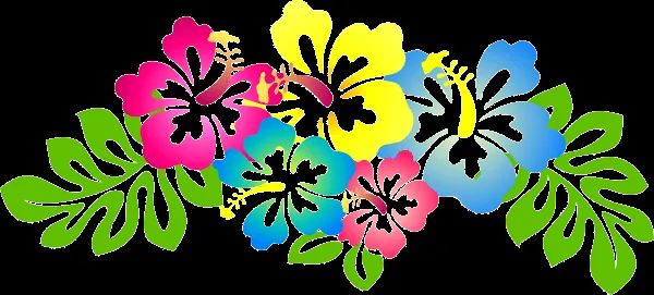 Flores hawaianas - Imagui