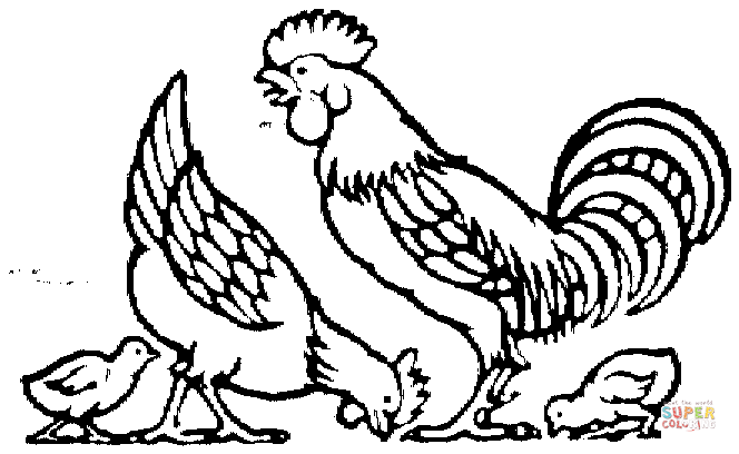 Dibujo de Gallina, gallo y los pollitos para colorear | Dibujos ...