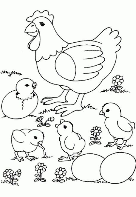 Dibujo de Gallina y sus pollitos. Dibujo para colorear de Gallina ...