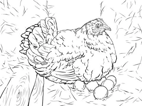 Dibujo de Gallina Poniendo Huevos para colorear | Dibujos para ...
