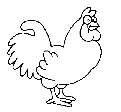 Dibujo de Gallo para Colorear - Dibujos.net