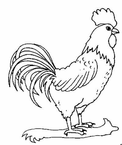 Dibujo de Gallo. Dibujo para colorear de Gallo. Dibujos infantiles ... Dibujo de Gallo. Dibujo para colorear de Gallo. Dibujos infantiles ...