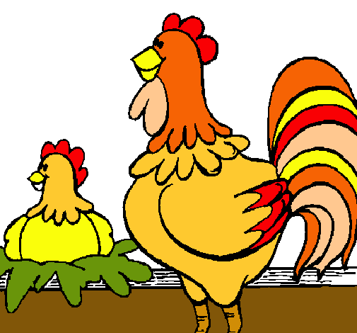 Dibujo de Gallo y gallina pintado por Mzacuz en Dibujos.net el día ...