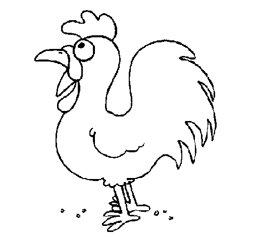 Dibujo de Gallo de granja para Colorear - Dibujos.net