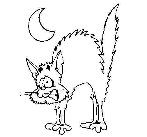Dibujo de Gato asustado para Colorear - Dibujos.net