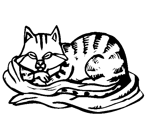 Dibujo de Gato en su cama para Colorear - Dibujos.net