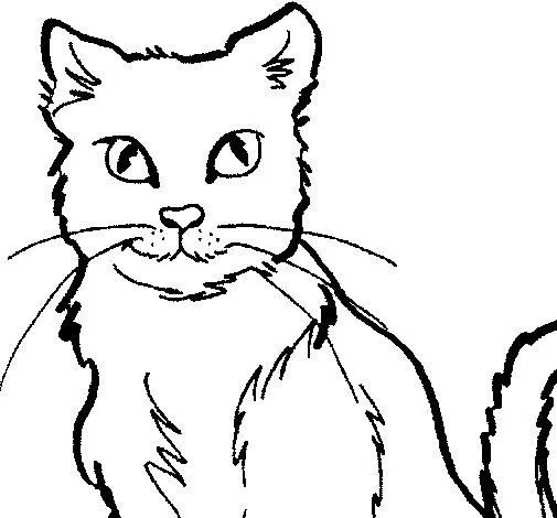 Dibujo de Gato para Colorear - Dibujos.net