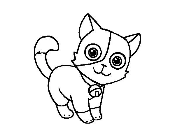 Dibujo de Gato doméstico para Colorear - Dibujos.net