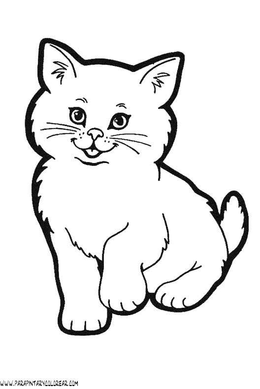 Dibujos de Gatos | Dibujos