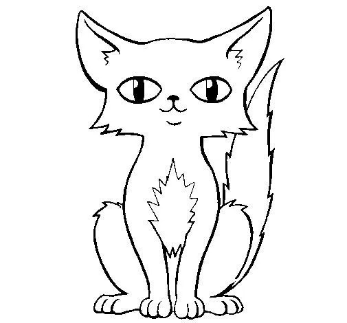 Dibujo de Gato persa para Colorear - Dibujos.net