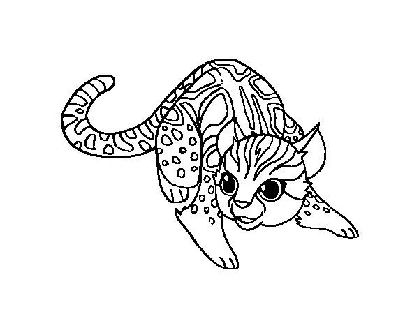 Dibujo de Gato salvaje africano para Colorear - Dibujos.net