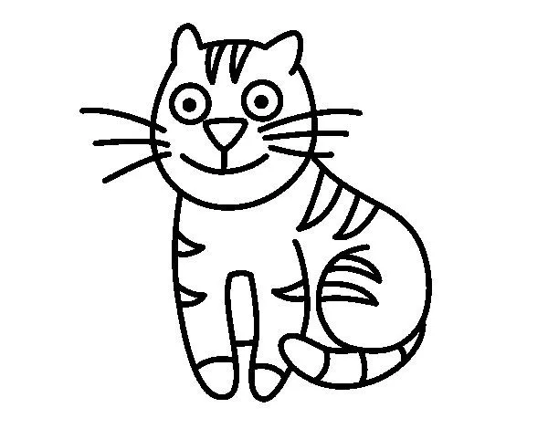 Dibujo de Gato simpático para Colorear - Dibujos.net